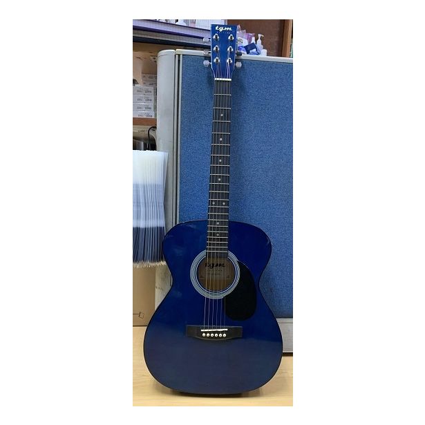 Used Acoustic Guitar TGM02 (Assorted Colours)