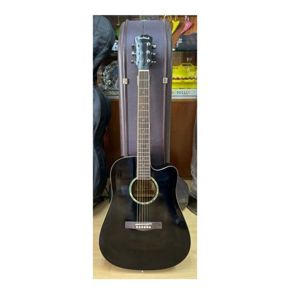 Used Acoustic Guitar Woodstock - 41"