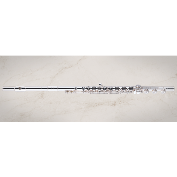 Altus Flute A1107