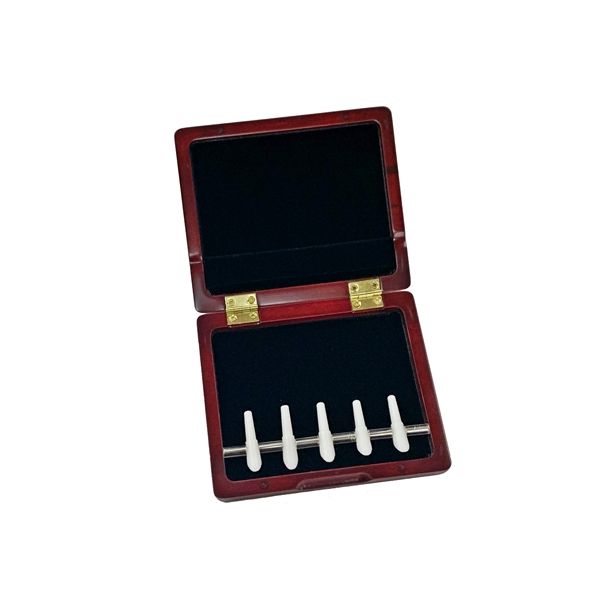 Bassoon Wooden Reed Case with Mandrel Pegs (Holds 5pcs) Mahogany