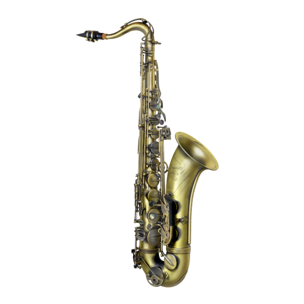 P. Mauriat Tenor Saxophone SYSTEM-76(II)TDK Derek Brown BEATBoX SAX