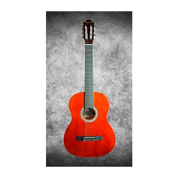 Synchronium Classical Guitar 39 inch with bag C10