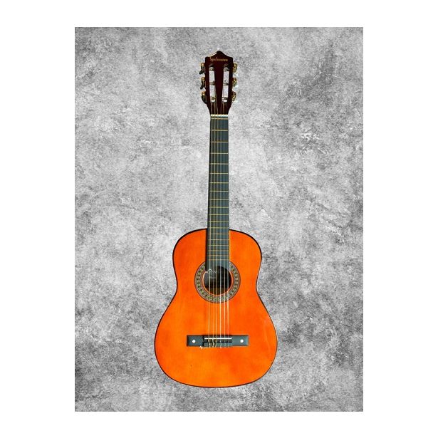 Synchronium Classical Guitar 30 inch with Bag C6