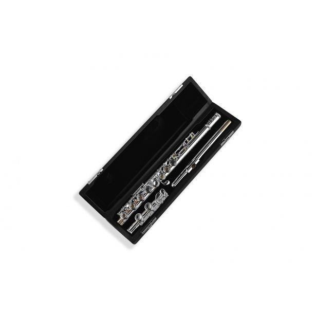 Di Zhao Student Flute DZ-301CEF