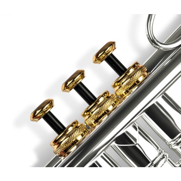 Frate Precision Black Onyx Trim Kit for Trumpet, Gold Plated with Bottom Caps