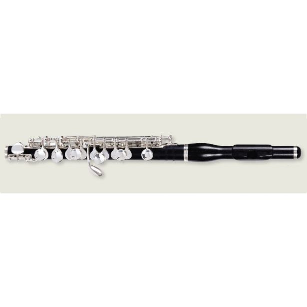 Philipp Hammig Piccolo 650/2