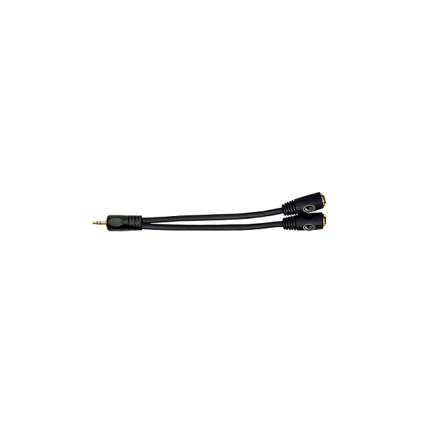D'Addario Planet Waves 1/8 Inch Male Stereo to Dual 1/8 Inch Female Stereo Adapter PW-P047ZZ
