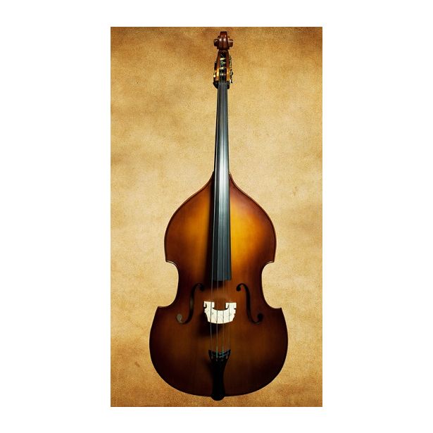 Synwin Student Double Bass SVCDB1001