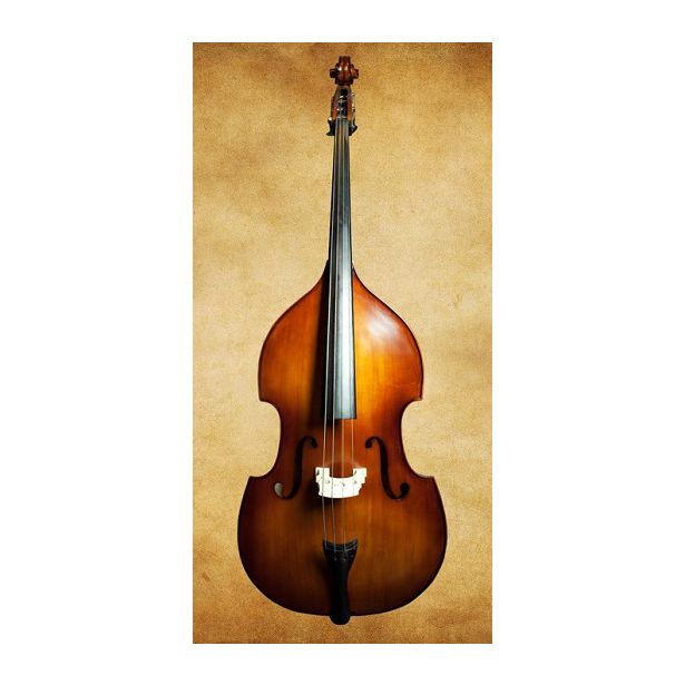 Synwin Double Bass SVCDB1008
